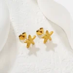 Star stud Earings